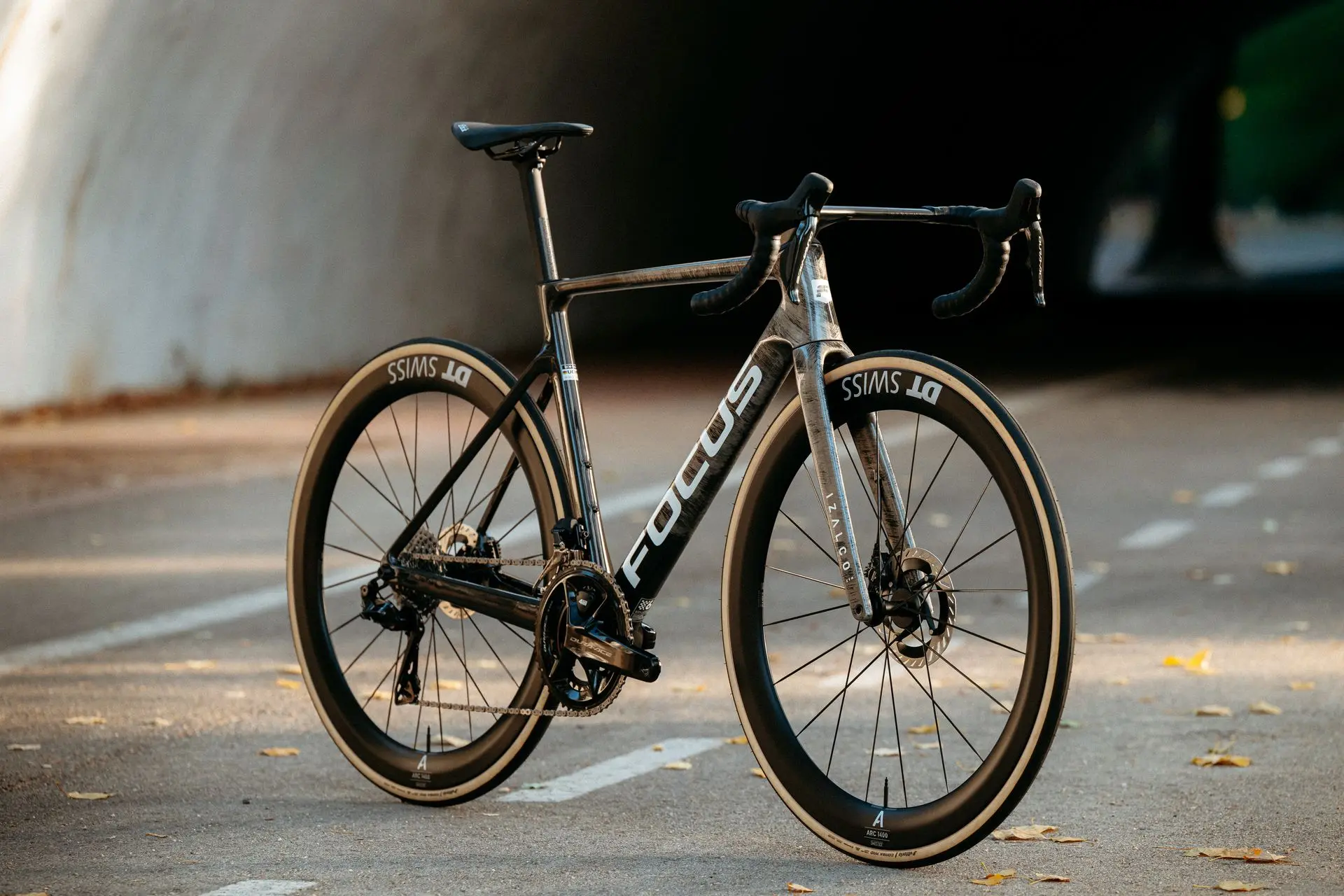 focus izalco