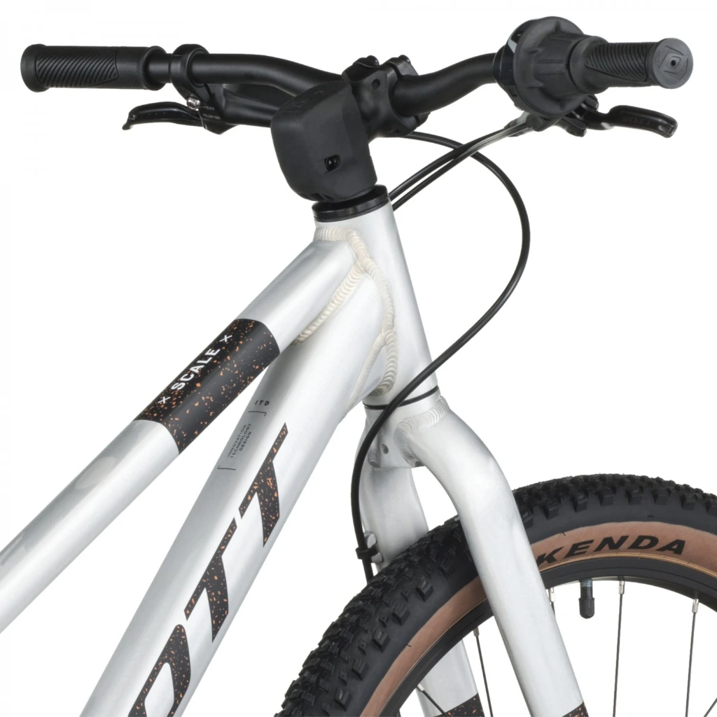 bicicleta-scale-400-20265.webp