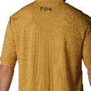 33409_585_6.webp