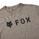 39404_185_3.webp
