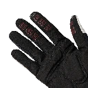 41032_089_3.webp